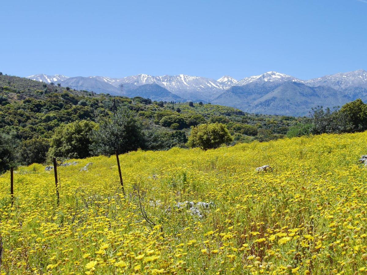 Villa Amvrosia Nr Kalives Crete Arménoi Dış mekan fotoğraf